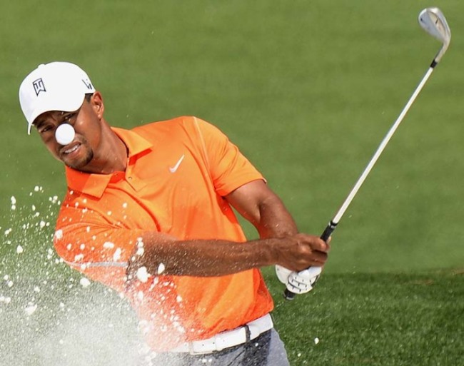 Wanna take a whack at online biz, tiger? You better be in the Top 25 site owners to make it. online biz negative seo backlinks