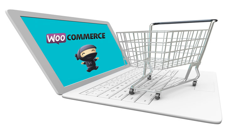 ecommerce woocommerce