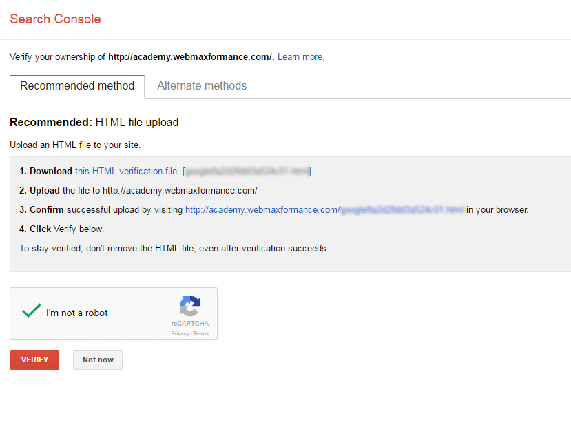 google search console verify propery