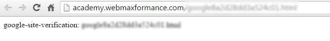 google site verification