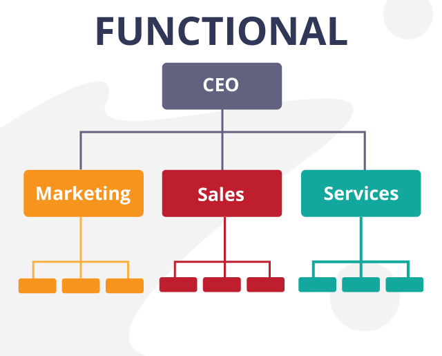 functional-organizational-structure-historia